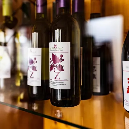 Der Winzerhof Gæstehus Achau