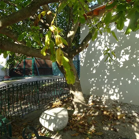 Der Winzerhof 게스트하우스