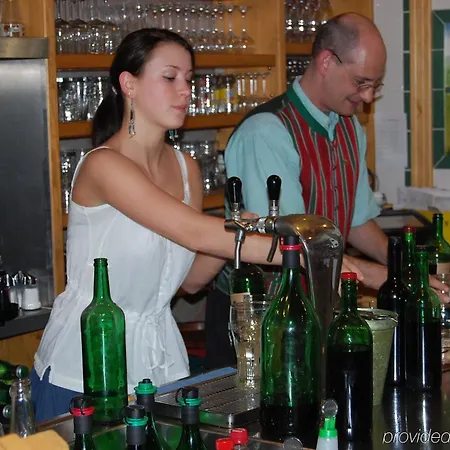 Der Winzerhof 3* 아카우