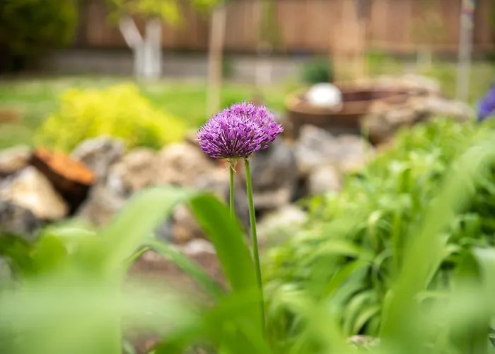 Der Winzerhof Pensión 3*